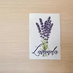 Gasthuis Domi La Spezia